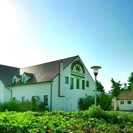 Hanfthal-Hof Лаа ан дер Тая Екстериор снимка