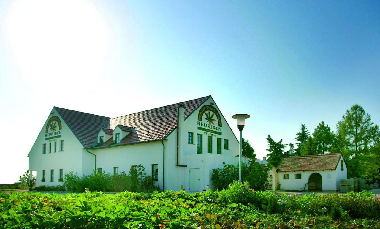 Hanfthal-Hof Лаа ан дер Тая Екстериор снимка